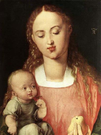 Albrecht Durer Madonna and Child with the Pear Germany oil painting art